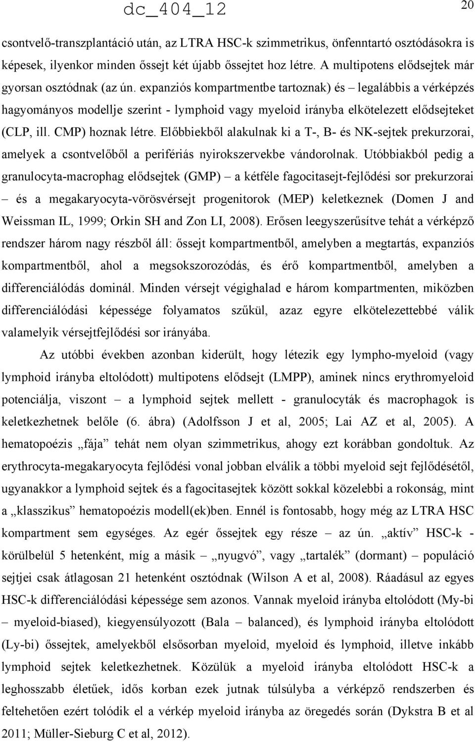 expanziós kompartmentbe tartoznak) és legalábbis a vérképzés hagyományos modellje szerint - lymphoid vagy myeloid irányba elkötelezett elődsejteket (CLP, ill. CMP) hoznak létre.