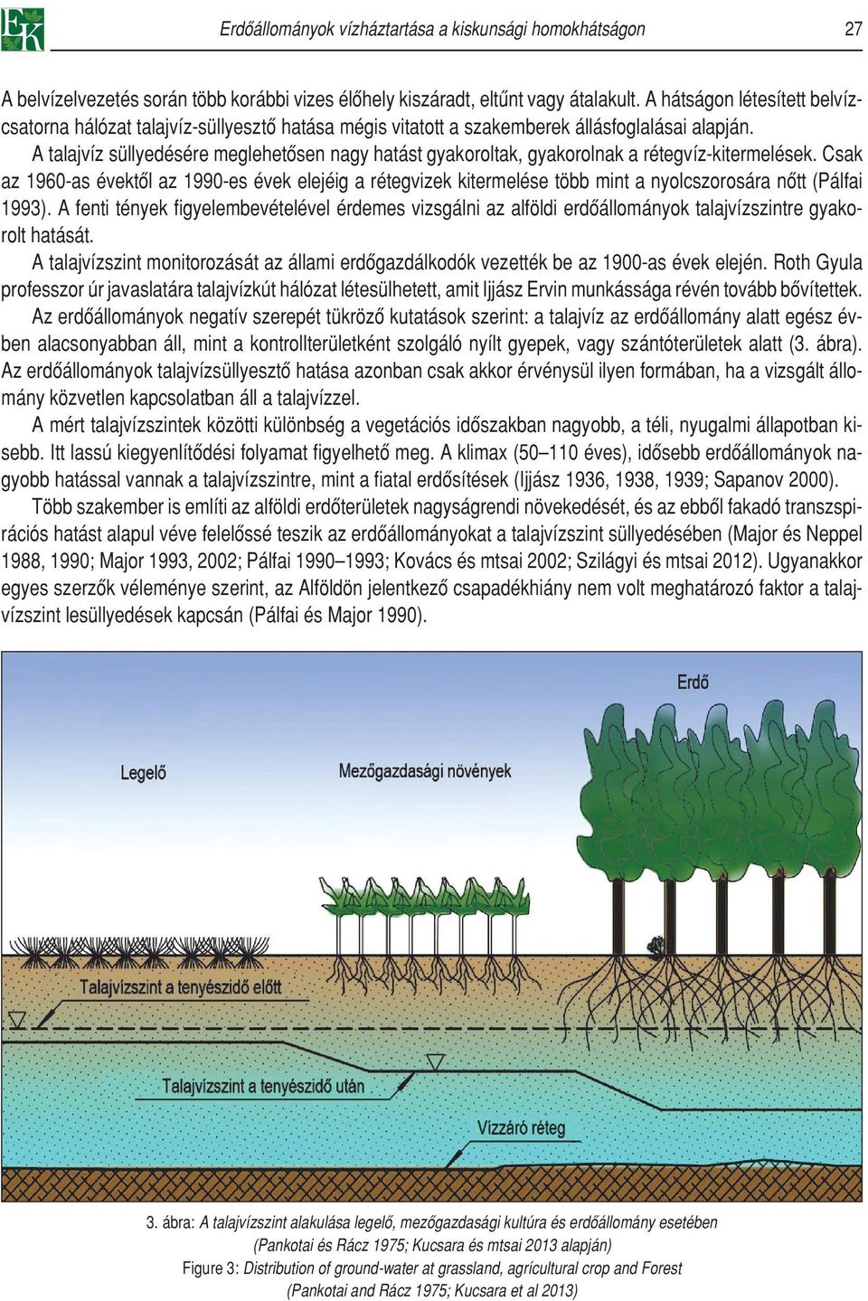 A talajvíz süllyedésére meglehetôsen nagy hatást gyakoroltak, gyakorolnak a rétegvíz-kitermelések.