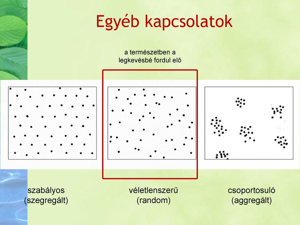 fordul elő szabályos