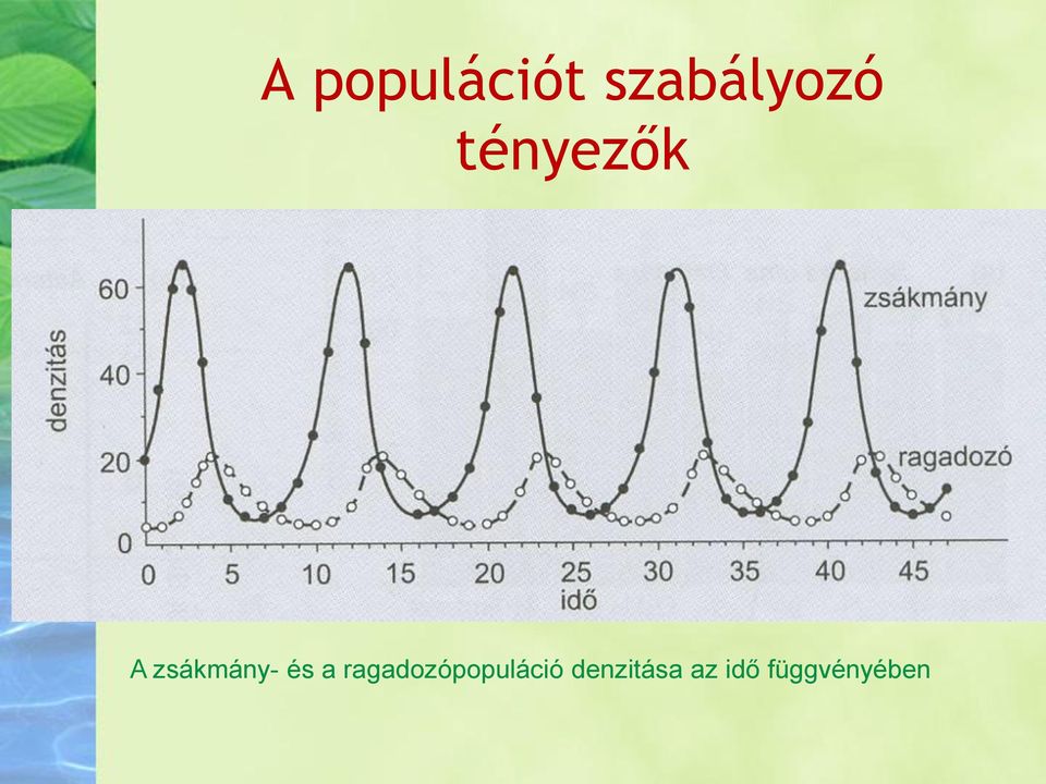 a ragadozópopuláció