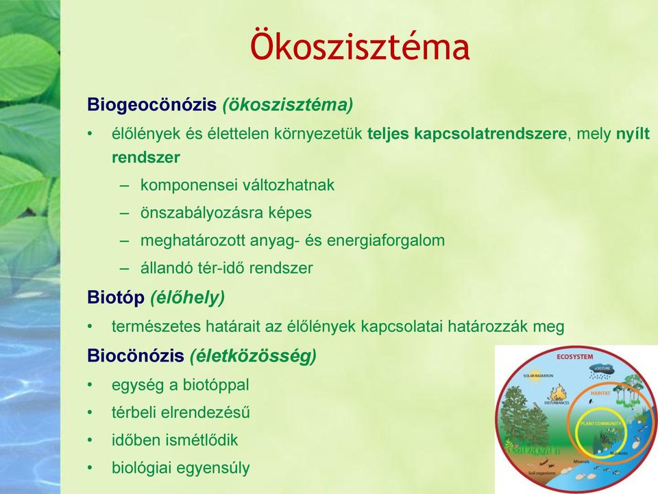 energiaforgalom állandó tér-idő rendszer Biotóp (élőhely) természetes határait az élőlények kapcsolatai