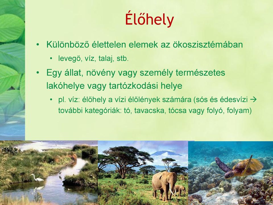 Egy állat, növény vagy személy természetes lakóhelye vagy