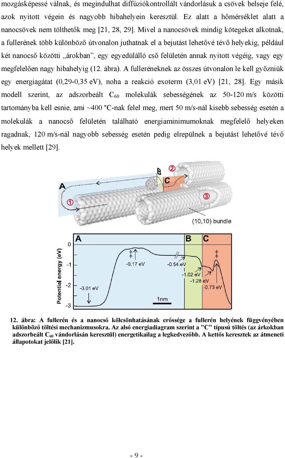 Mivel a nanocsövek mindig kötegeket alkotnak, a fullerének több különböző útvonalon juthatnak el a bejutást lehetővé tévő helyekig, például két nanocső közötti árokban, egy egyedülálló cső felületén