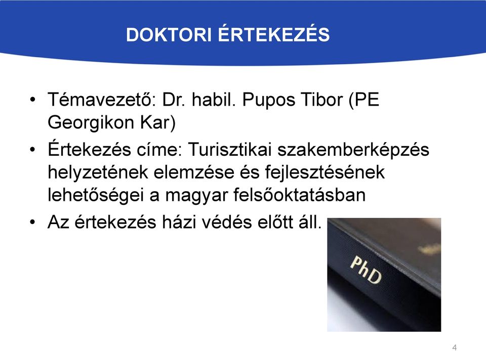 Turisztikai szakemberképzés helyzetének elemzése és