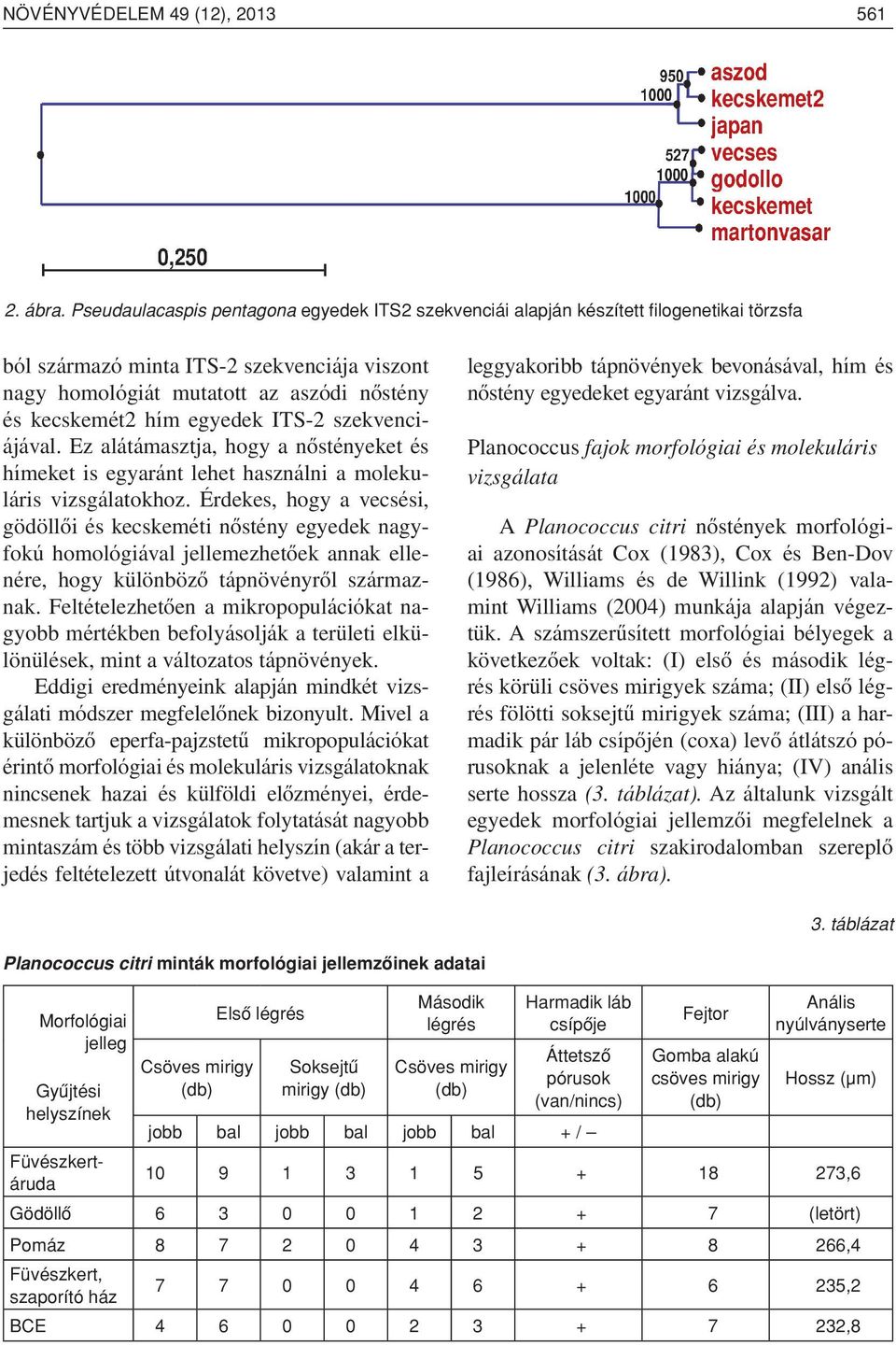 egyedek ITS-2 szekvenciájával. Ez alátámasztja, hogy a nôstényeket és hímeket is egyaránt lehet használni a molekuláris vizsgálatokhoz.