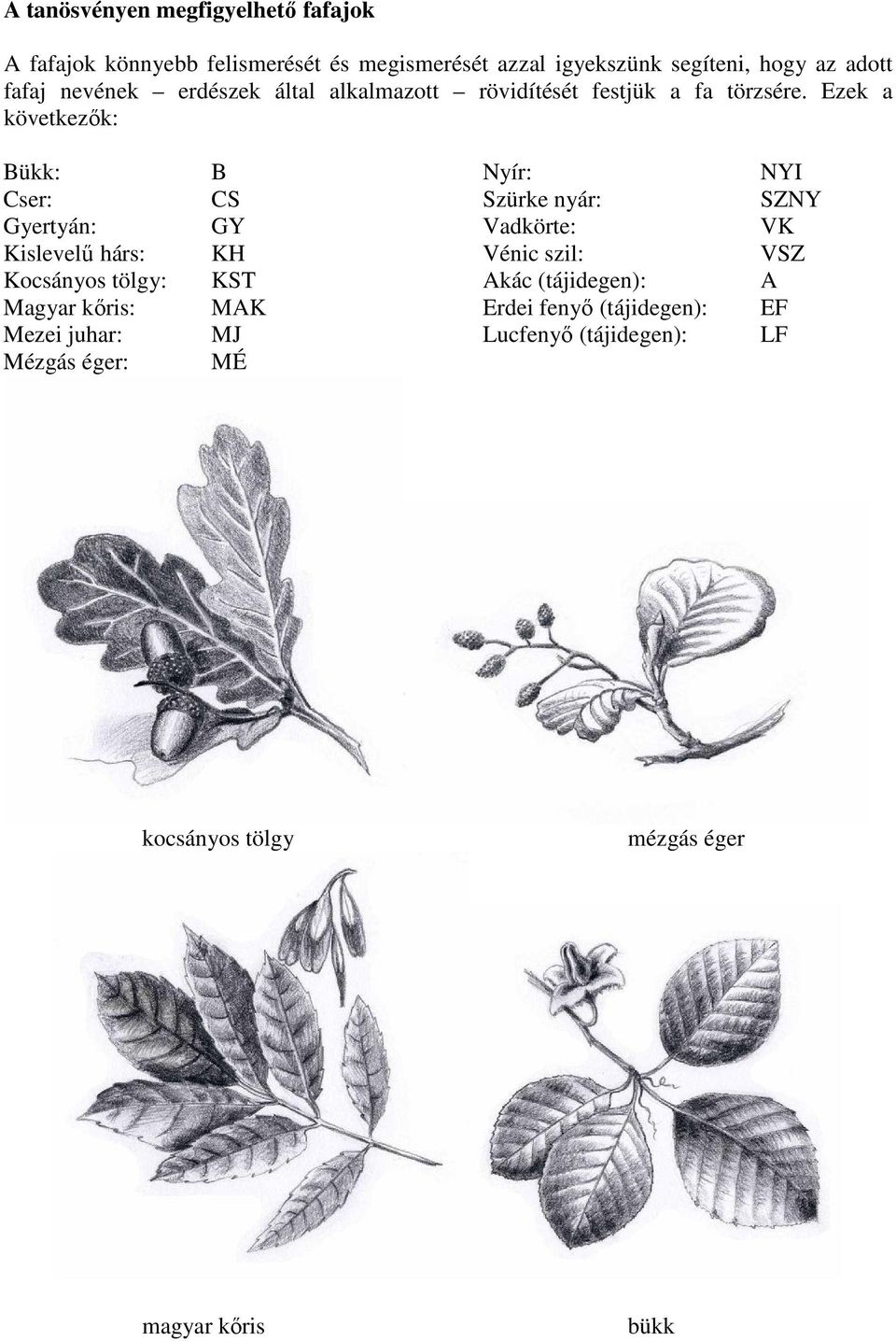 Ezek a következık: Bükk: Cser: Gyertyán: Kislevelő hárs: Kocsányos tölgy: Magyar kıris: Mezei juhar: Mézgás éger: B CS GY KH KST
