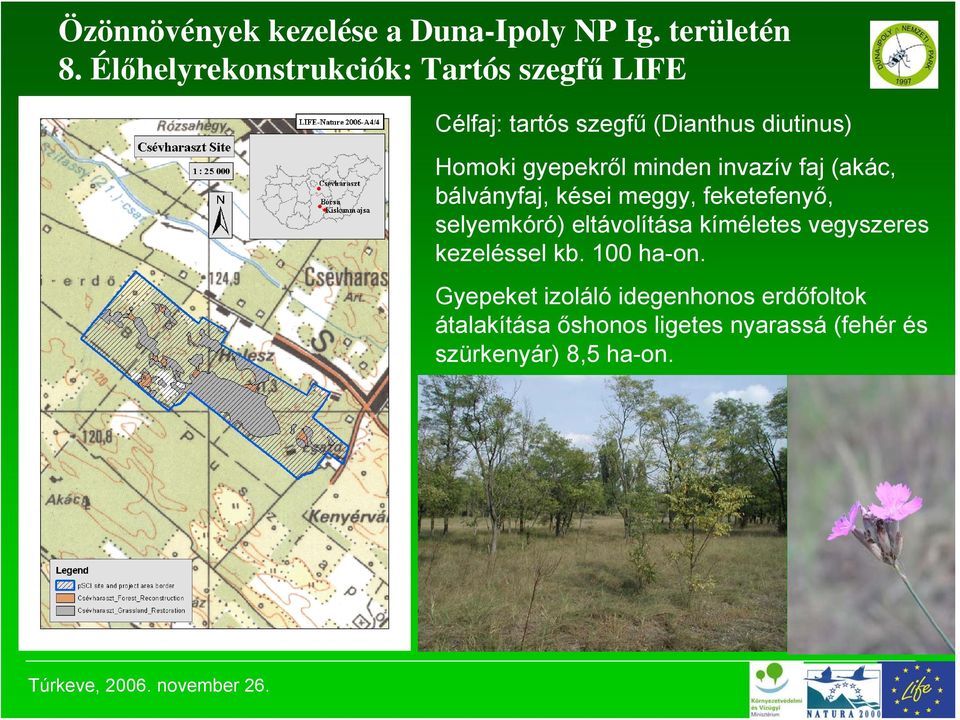 selyemkóró) eltávolítása kíméletes vegyszeres kezeléssel kb. 100 ha-on.