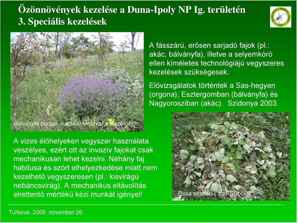 Elővizsgálatok történtek a Sas-hegyen (orgona), Esztergomban (bálványfa) és Nagyorosziban (akác). Szidonya 2003.