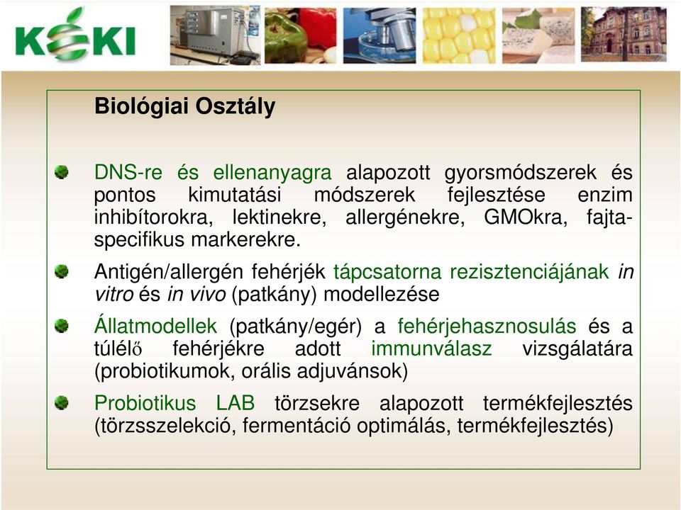 Antigén/allergén fehérjék tápcsatorna rezisztenciájának in vitro és in vivo (patkány) modellezése Állatmodellek (patkány/egér) a