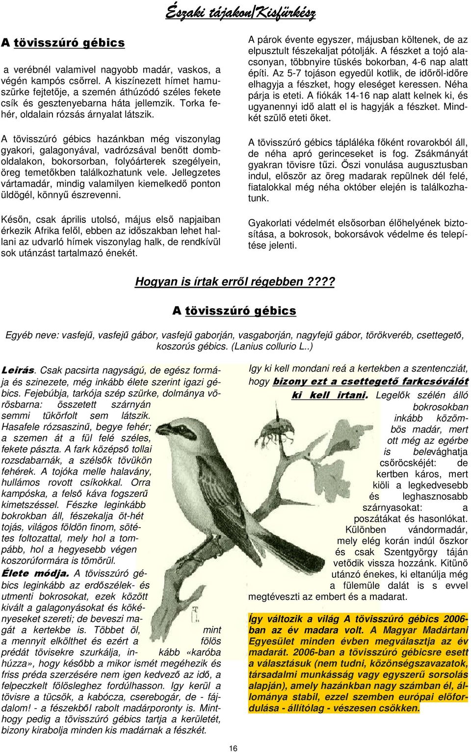 A tövisszúró gébics hazánkban még viszonylag gyakori, galagonyával, vadrózsával benıtt domboldalakon, bokorsorban, folyóárterek szegélyein, öreg temetıkben találkozhatunk vele.