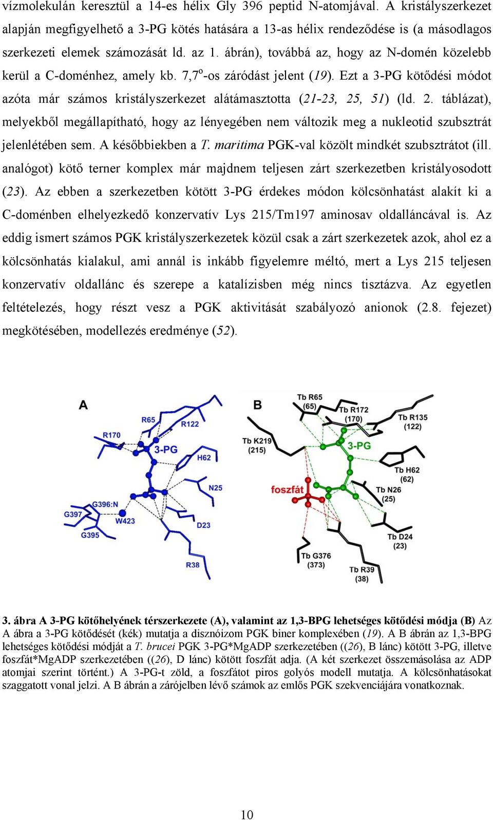 ábrán), továbbá az, hogy az N-domén közelebb kerül a C-doménhez, amely kb. 7,7 o -os záródást jelent (19).