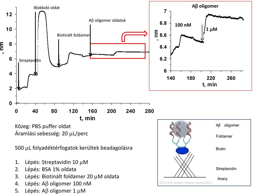 2 6 140 180 220 260 t, min 0 0 40 80 120 160 200 240 280 t, min Közeg: PBS puffer oldat Áramlási sebesség: 20