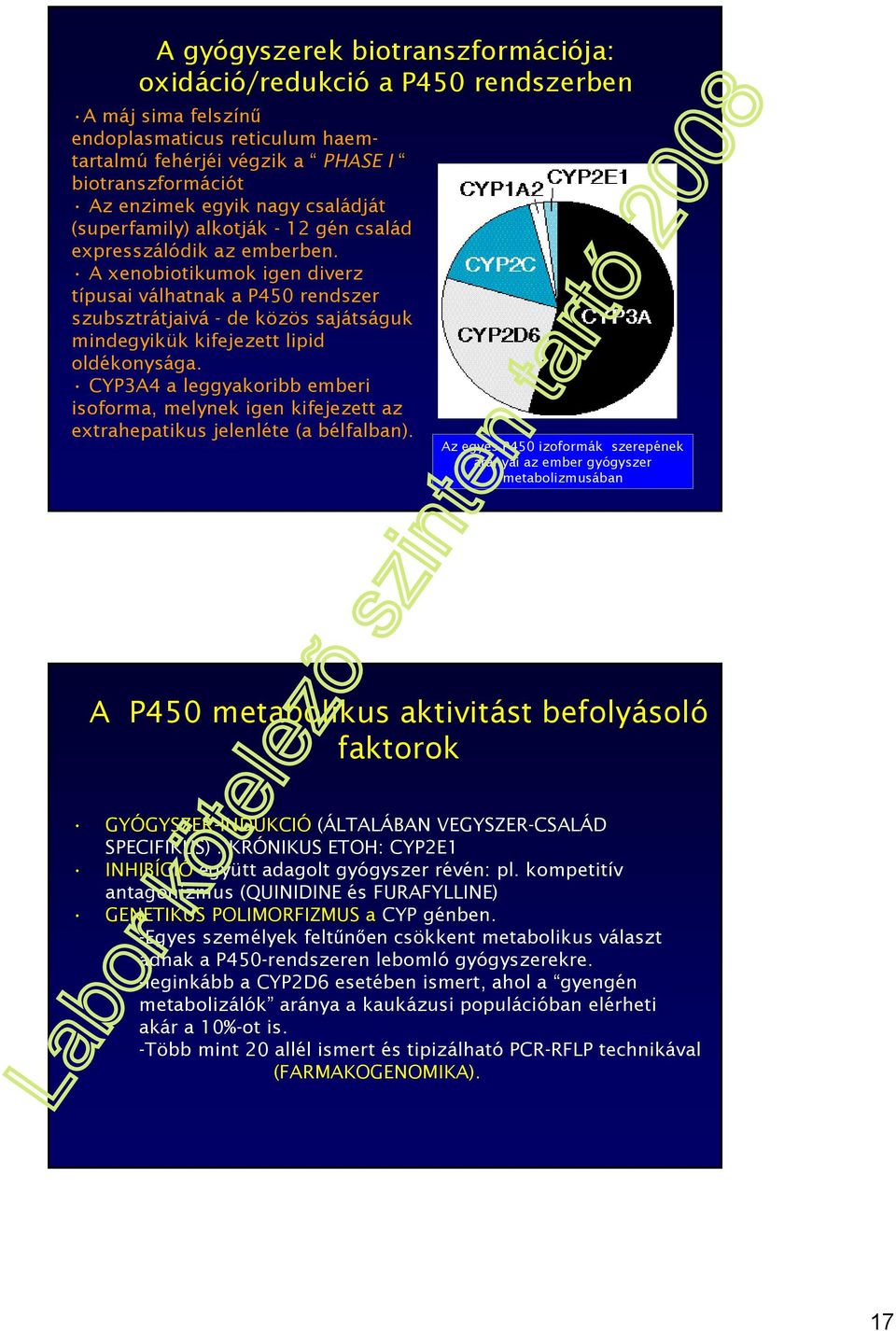 A xenobiotikumok igen diverz típusai válhatnak a P450 rendszer szubsztrátjaivá - de közös sajátságuk mindegyikük kifejezett lipid oldékonysága.