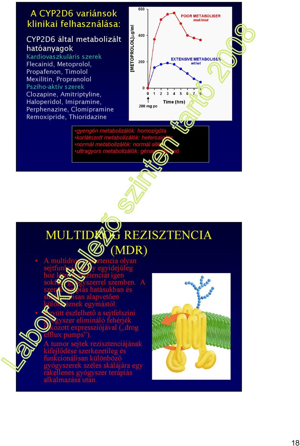 normál allél ultragyors metabolizálók: génamplifikáció MULTIDROG REZISZTENCIA (MDR) A multidrog rezisztencia olyan sejtfunkció, mely egyidejőleg hoz létre rezisztenciát igen sokféle gyógyszerrel