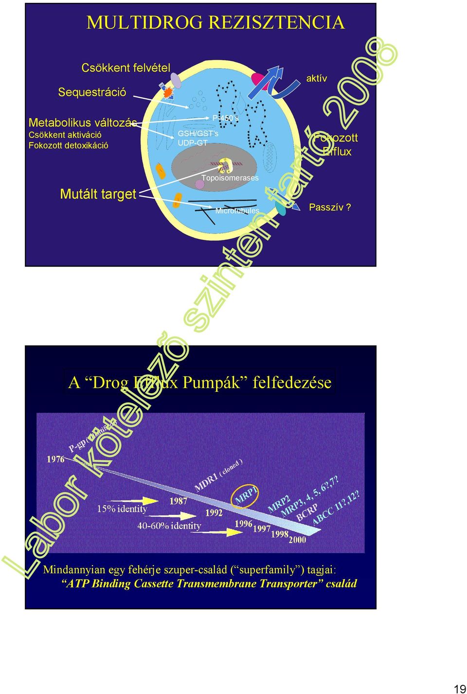 Microtubules aktív Fokozott Efflux Passzív?