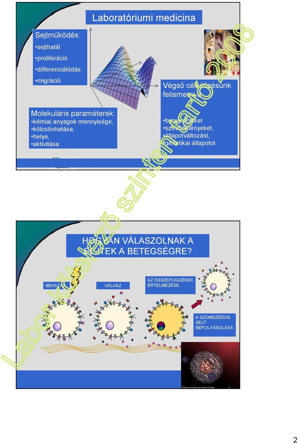 felismerni a betegségeket szövıdményeket, állapotváltozást, genetikai állapotot HOGYAN VÁLASZOLNAK