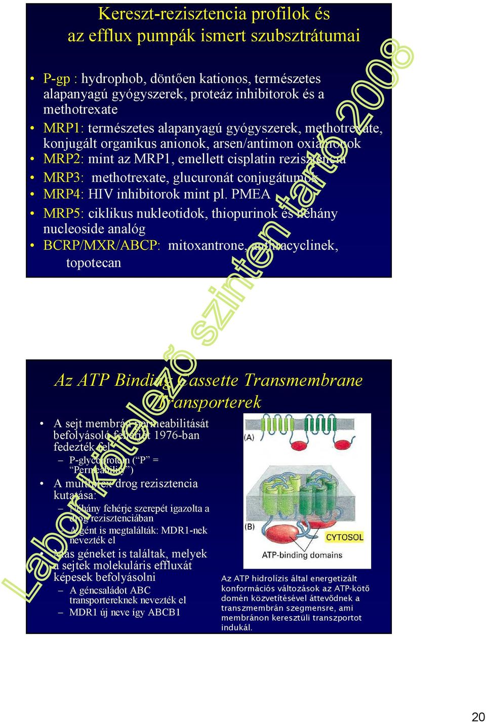 inhibitorok mint pl.