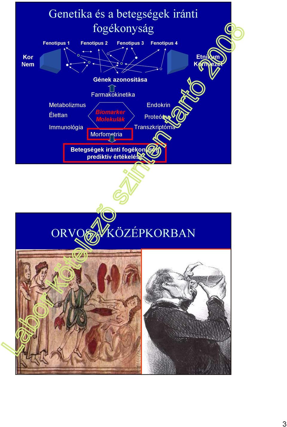 Immunológia Farmakokinetika Biomarker Molekulák Morfometria Endokrin Proteóma
