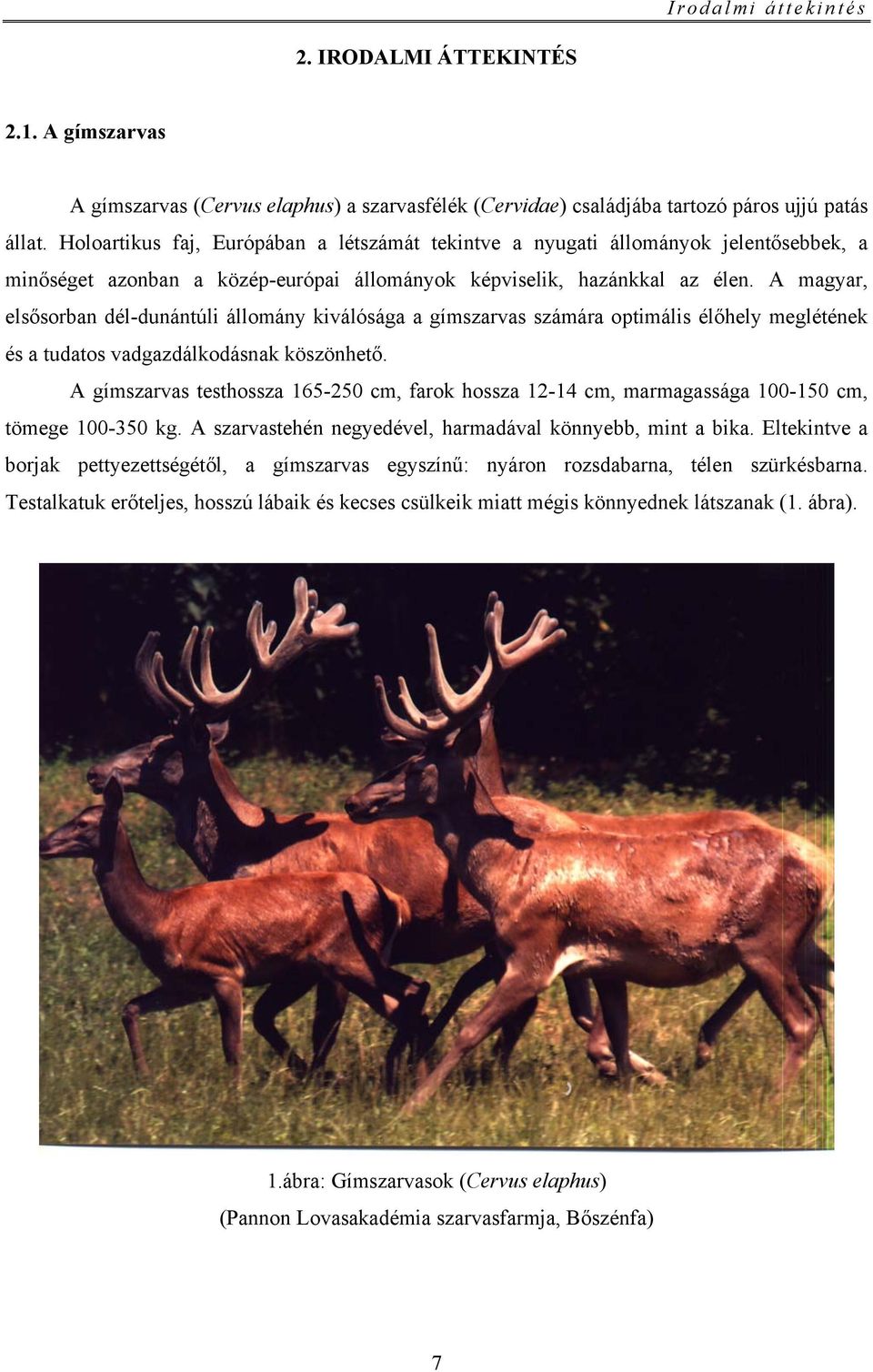A magyar, elsősorban dél-dunántúli állomány kiválósága a gímszarvas számára optimális élőhely meglétének és a tudatos vadgazdálkodásnak köszönhető.