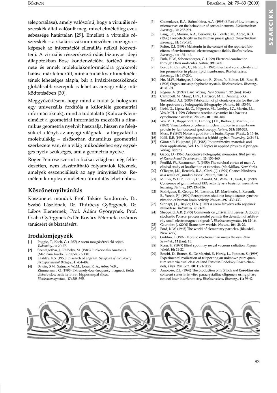 A virtuális részecskeszóródás bizonyos idegi állapotokban Bose kondenzációba történô átmenete és ennek molekulakonformációra gyakorolt hatása már felmerült, mint a tudat kvantumelméletének lehetséges