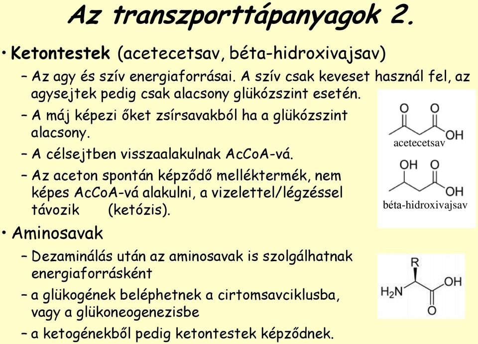 A célsejtben visszaalakulnak AcCoA-vá. Az aceton spontán képződő melléktermék, nem képes AcCoA-vá alakulni, a vizelettel/légzéssel távozik (ketózis).