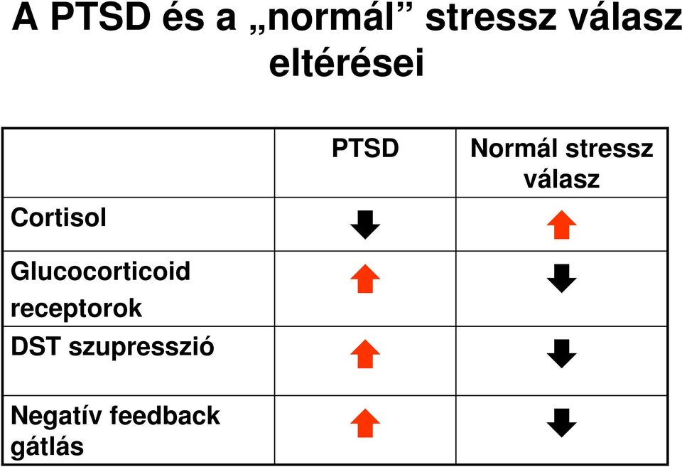 Cortisol Glucocorticoid receptorok