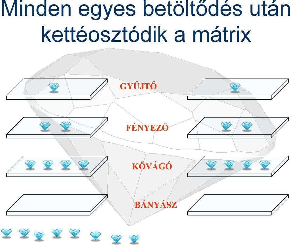 kettéosztódik a