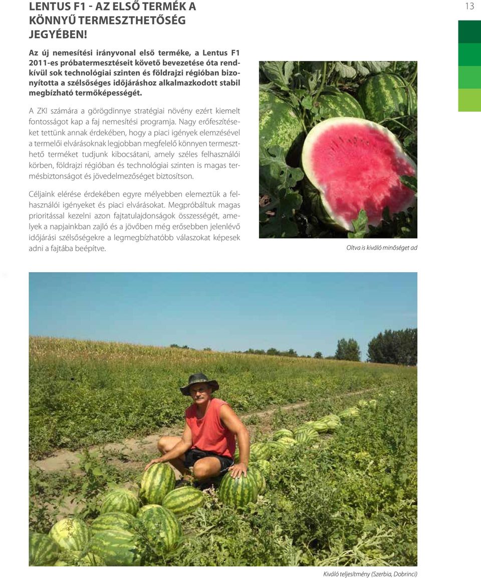 időjáráshoz alkalmazkodott stabil megbízható termőképességét. A ZKI számára a görögdinnye stratégiai növény ezért kiemelt fontosságot kap a faj nemesítési programja.