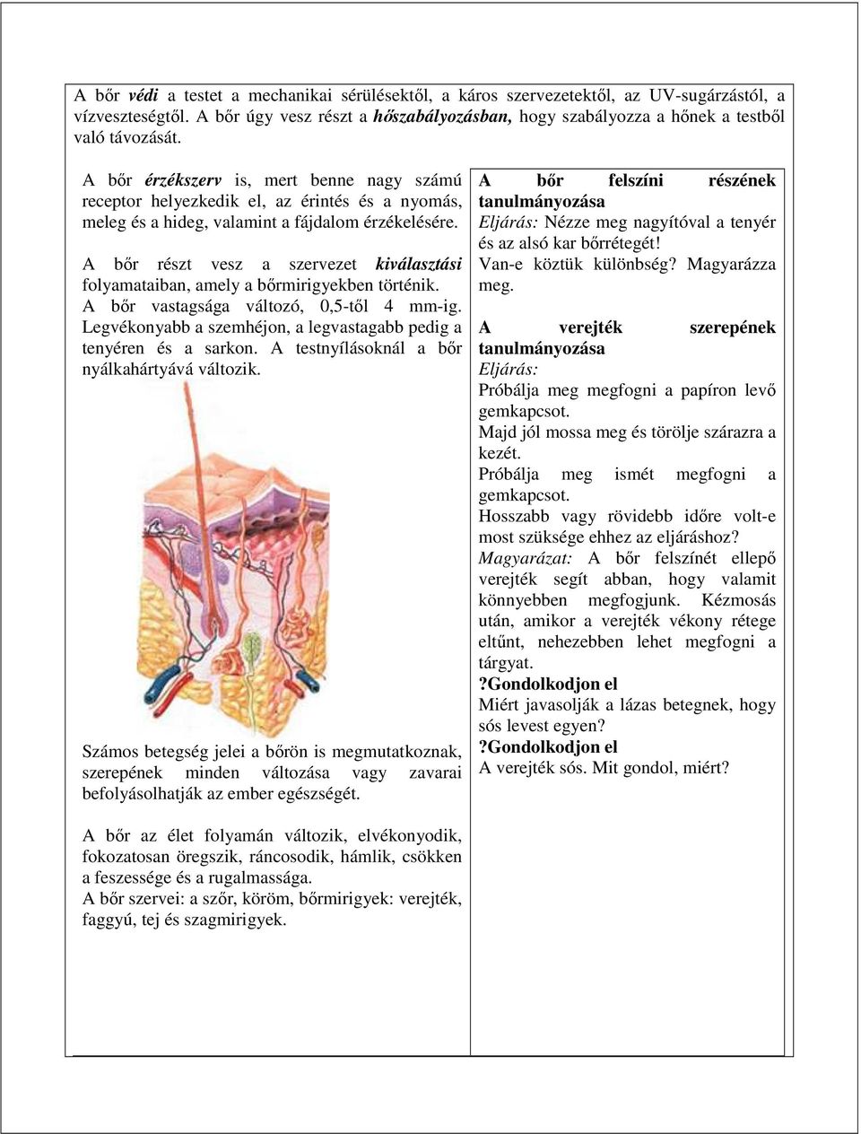 A bőr részt vesz a szervezet kiválasztási folyamataiban, amely a bőrmirigyekben történik. A bőr vastagsága változó, 0,5-től 4 mm-ig.