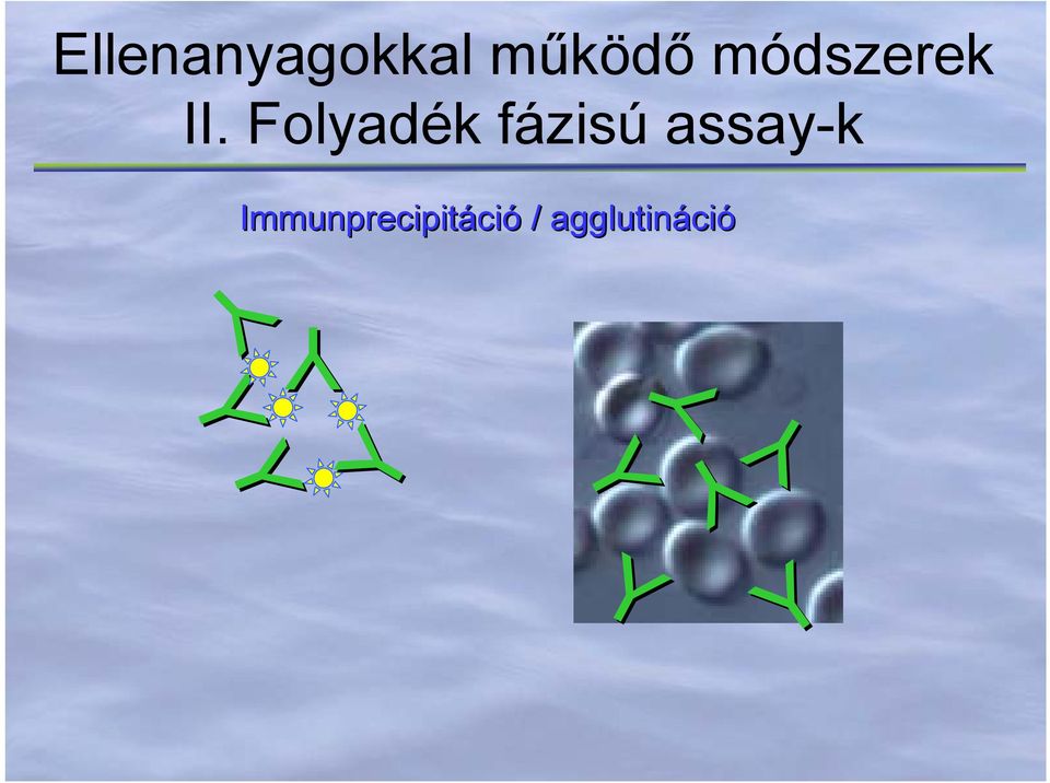 Folyadék fázisú assay-k