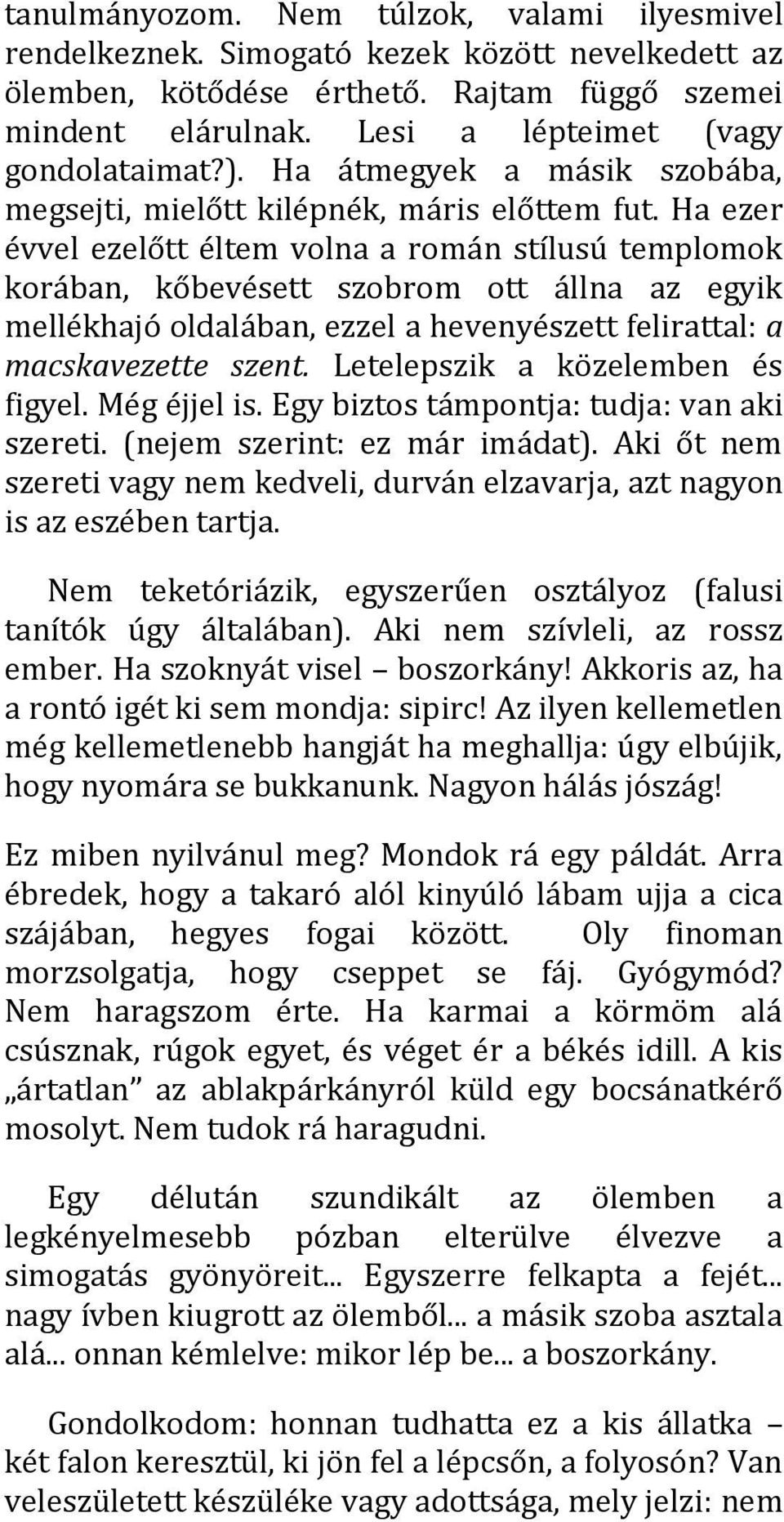 Ha ezer évvel ezelőtt éltem volna a román stílusú templomok korában, kőbevésett szobrom ott állna az egyik mellékhajó oldalában, ezzel a hevenyészett felirattal: a macskavezette szent.