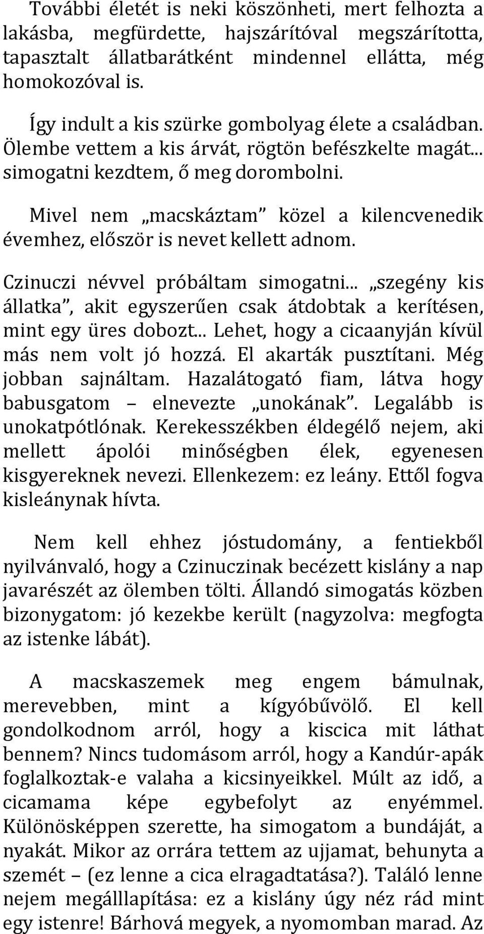 Mivel nem macskáztam közel a kilencvenedik évemhez, először is nevet kellett adnom. Czinuczi névvel próbáltam simogatni.