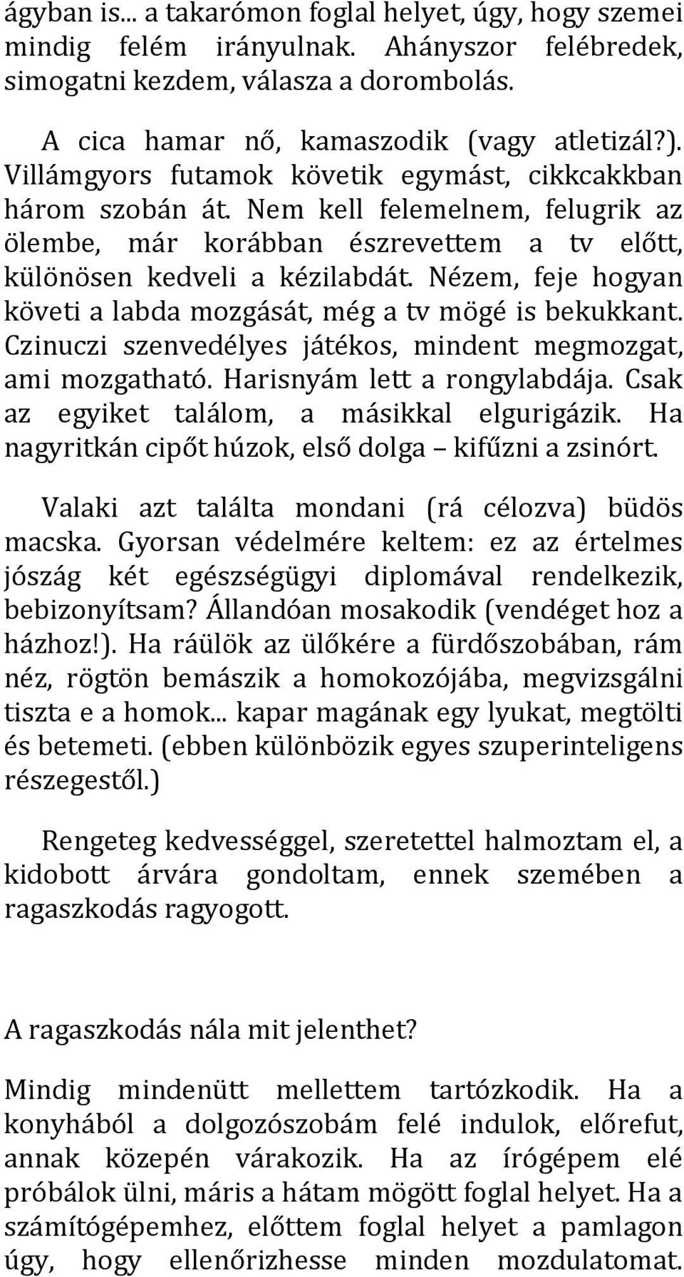 Nézem, feje hogyan követi a labda mozgását, még a tv mögé is bekukkant. Czinuczi szenvedélyes játékos, mindent megmozgat, ami mozgatható. Harisnyám lett a rongylabdája.