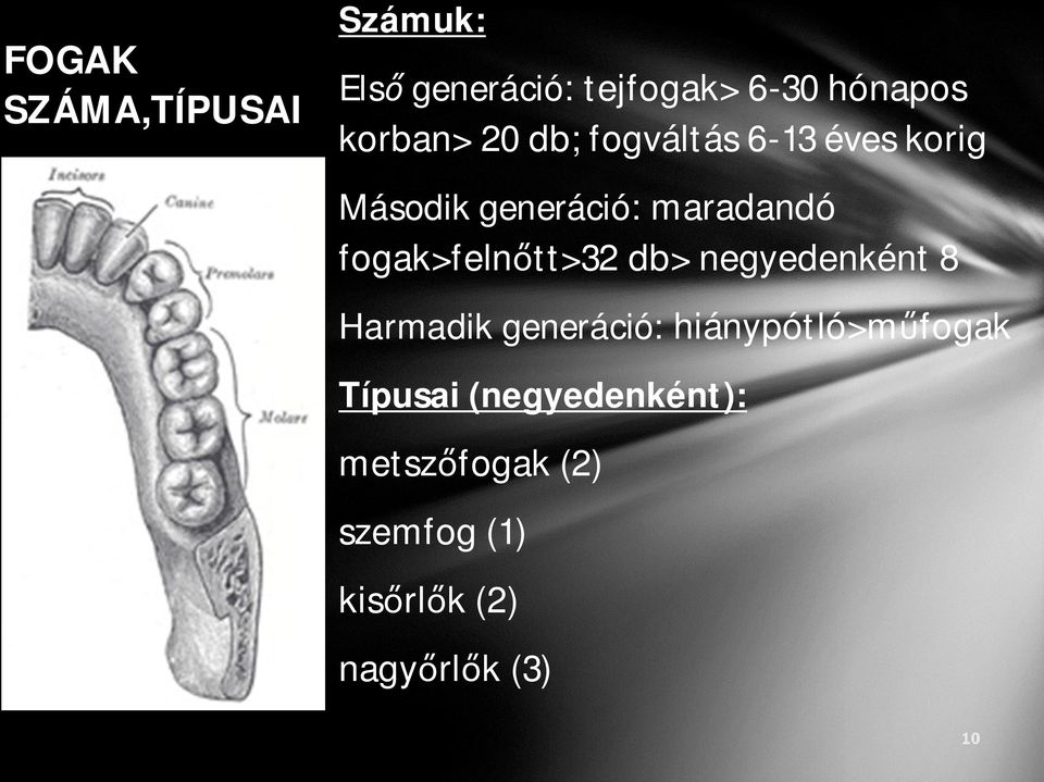 fogak>feln tt>32 db> negyedenként 8 Harmadik generáció: hiánypótló>m