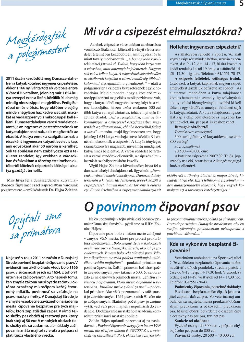 Pedig Európai úniós előírás, hogy október elsejéig minden négylábú házikedvencet, sőt, macskát és vadászgörényt is mikrocsippel kell ellátni.