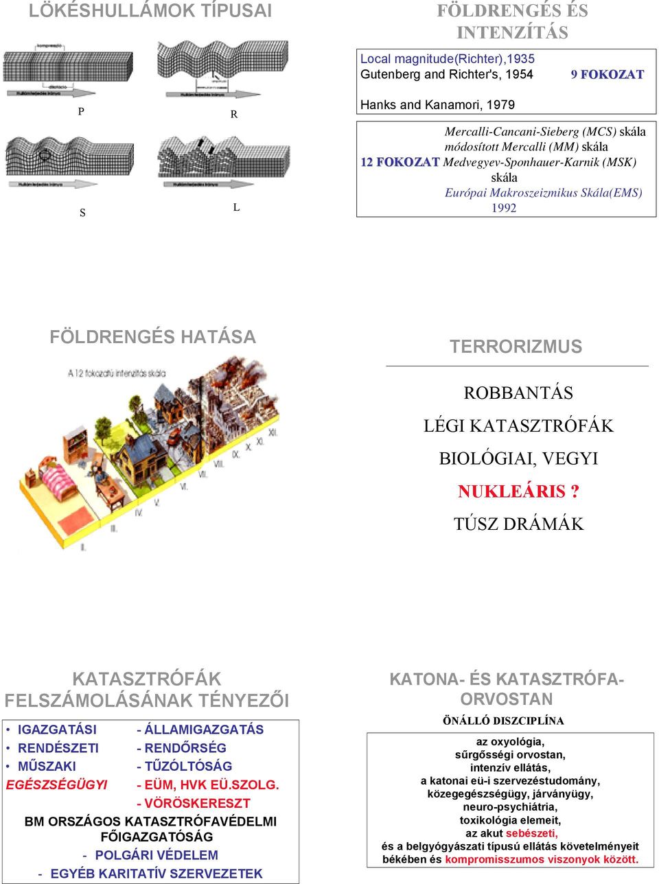 TÚSZ DRÁMÁK KATASZTRÓFÁK FELSZÁMOLÁSÁNAK TÉNYEZŐI IGAZGATÁSI - ÁLLAMIGAZGATÁS RENDÉSZETI - RENDŐRSÉG MŰSZAKI - TŰZÓLTÓSÁG EGÉSZSÉGÜGYI - EÜM, HVK EÜ.SZOLG.