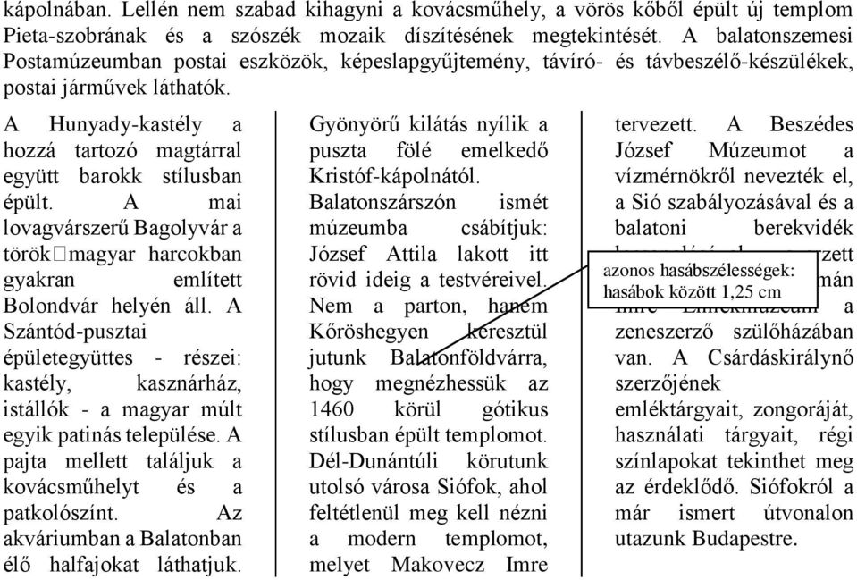 A Hunyady-kastély a hozzá tartozó magtárral együtt barokk stílusban épült. A mai lovagvárszerű Bagolyvár a török magyar harcokban gyakran említett Bolondvár helyén áll.