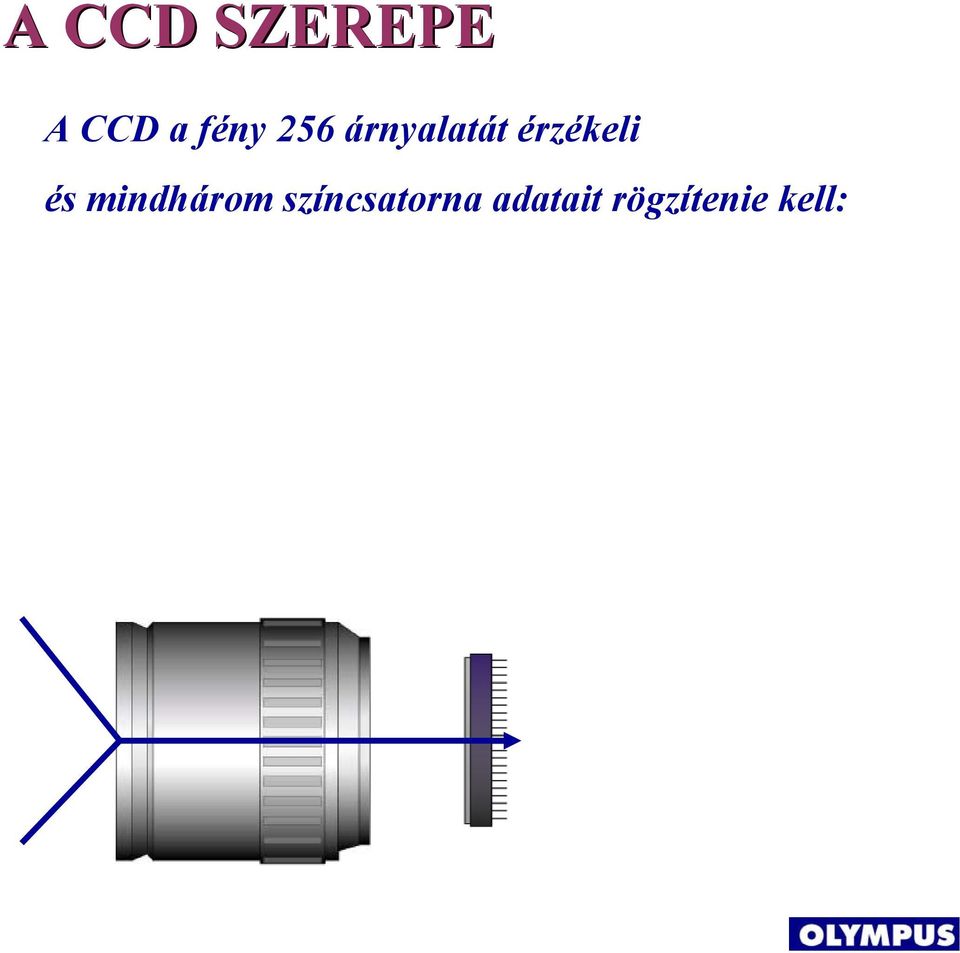 érzékeli és mindhárom