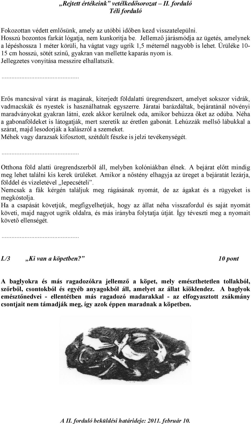 Jellegzetes vonyítása messzire elhallatszik. Erıs mancsával várat ás magának, kiterjedt földalatti üregrendszert, amelyet sokszor vidrák, vadmacskák és nyestek is használhatnak egyszerre.