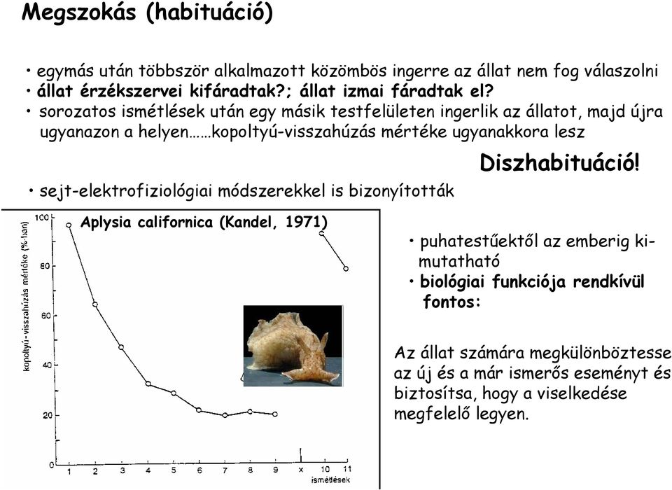 sorozatos ismétlések után egy másik testfelületen ingerlik az állatot, majd újra ugyanazon a helyen kopoltyú-visszahúzás mértéke ugyanakkora lesz