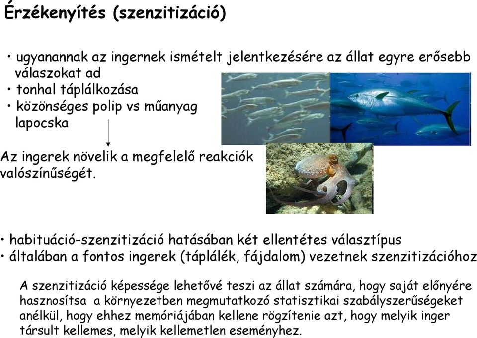 habituáció-szenzitizáció hatásában két ellentétes választípus általában a fontos ingerek (táplálék, fájdalom) vezetnek szenzitizációhoz A szenzitizáció