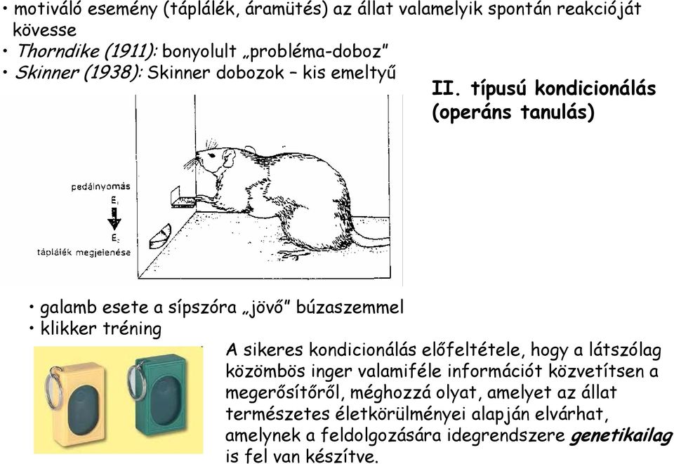 típusú kondicionálás (operáns tanulás) galamb esete a sípszóra jövő búzaszemmel klikker tréning A sikeres kondicionálás előfeltétele,