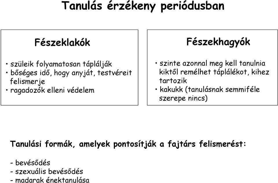 kiktől remélhet táplálékot, kihez tartozik kakukk (tanulásnak semmiféle szerepe nincs) Tanulási