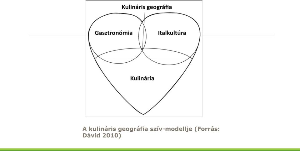 szív-modellje