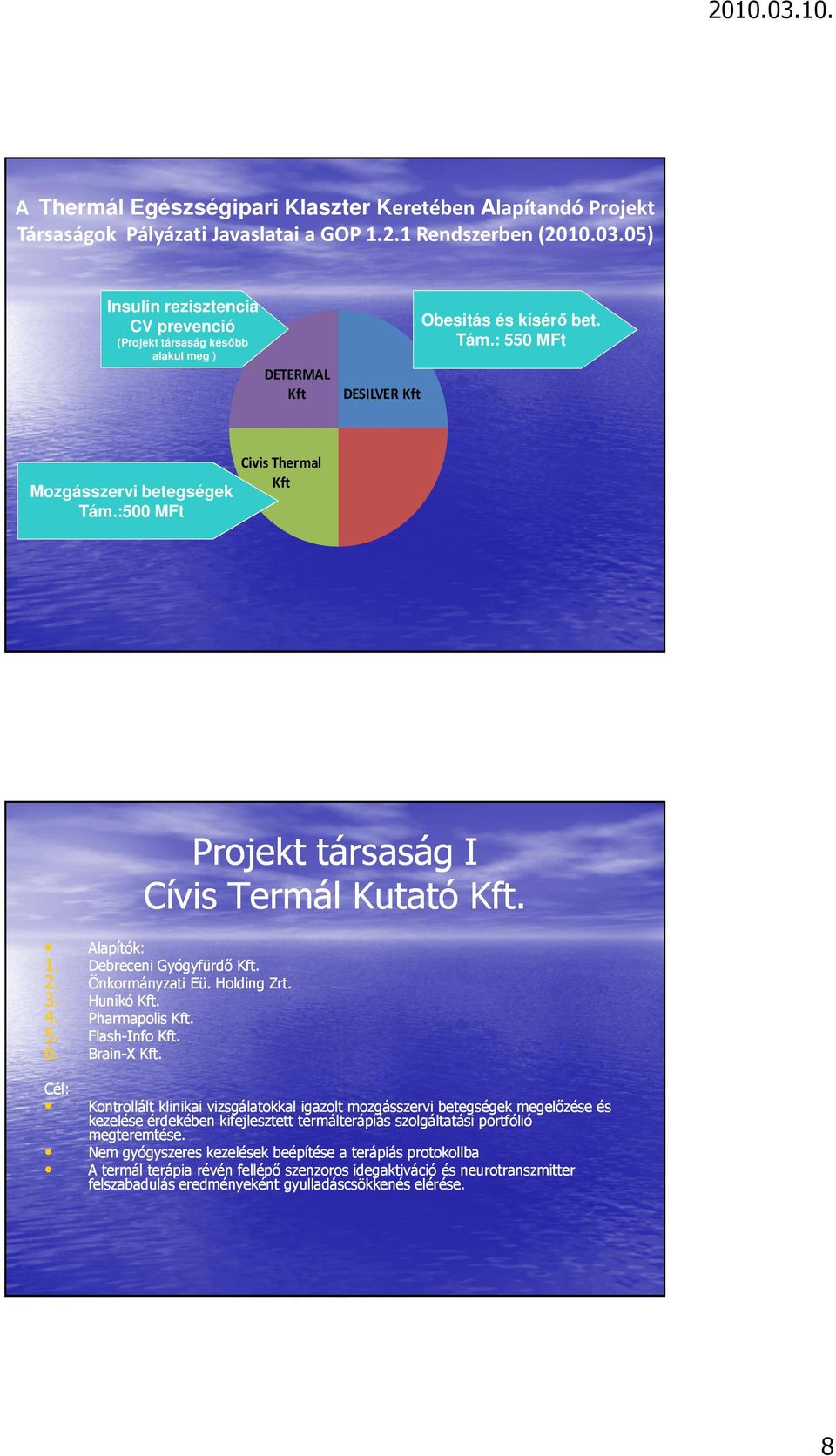 :500 MFt Civis Thermal Kft Projekt társaság I Cívis Termál Kutató Kft. Alapítók: 1. Debreceni Gyógyfürdő Kft. 2. Önkormányzati Eü. Holding Zrt. 3. Hunikó Kft. 4. Pharmapolis Kft. 5. Flash-Info Kft. 6.