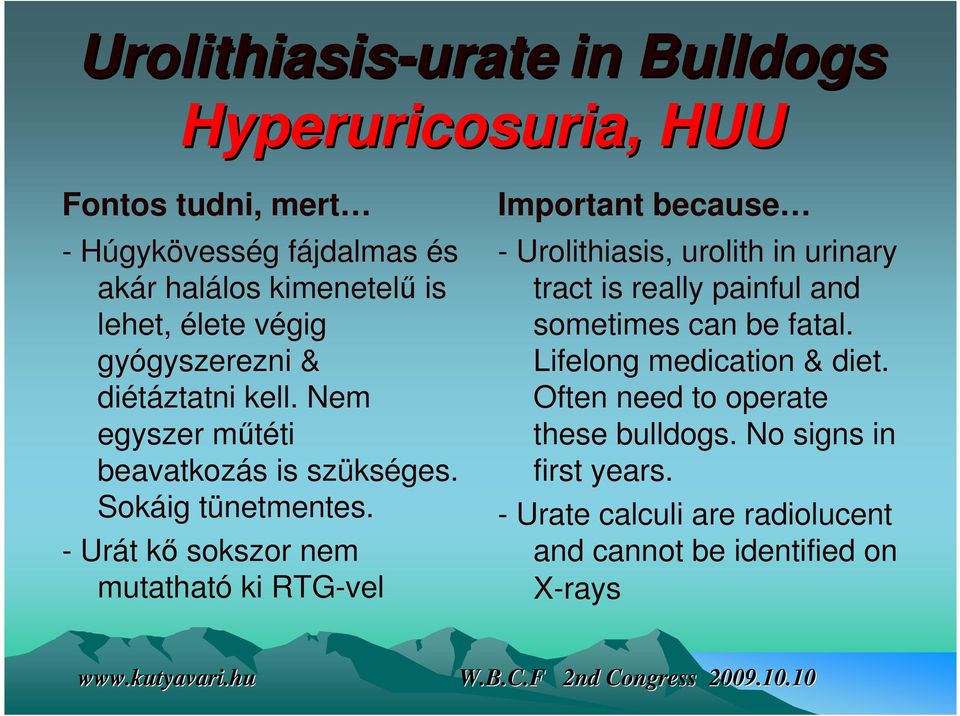 - Urát kő sokszor nem mutatható ki RTG-vel Important because - Urolithiasis, urolith in urinary tract is really painful and