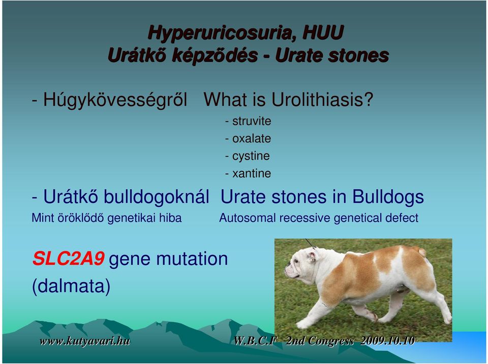 - struvite - oxalate - cystine - xantine - Urátkő