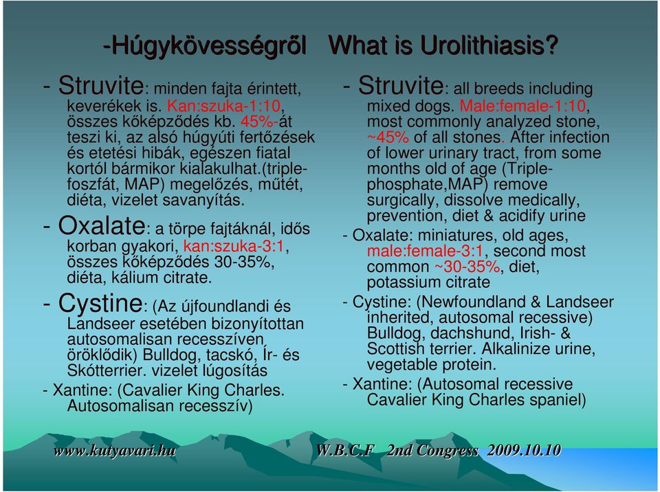 - Oxalate: a törpe fajtáknál, idős korban gyakori, kan:szuka-3:1, összes kőképződés 30-35%, diéta, kálium citrate.