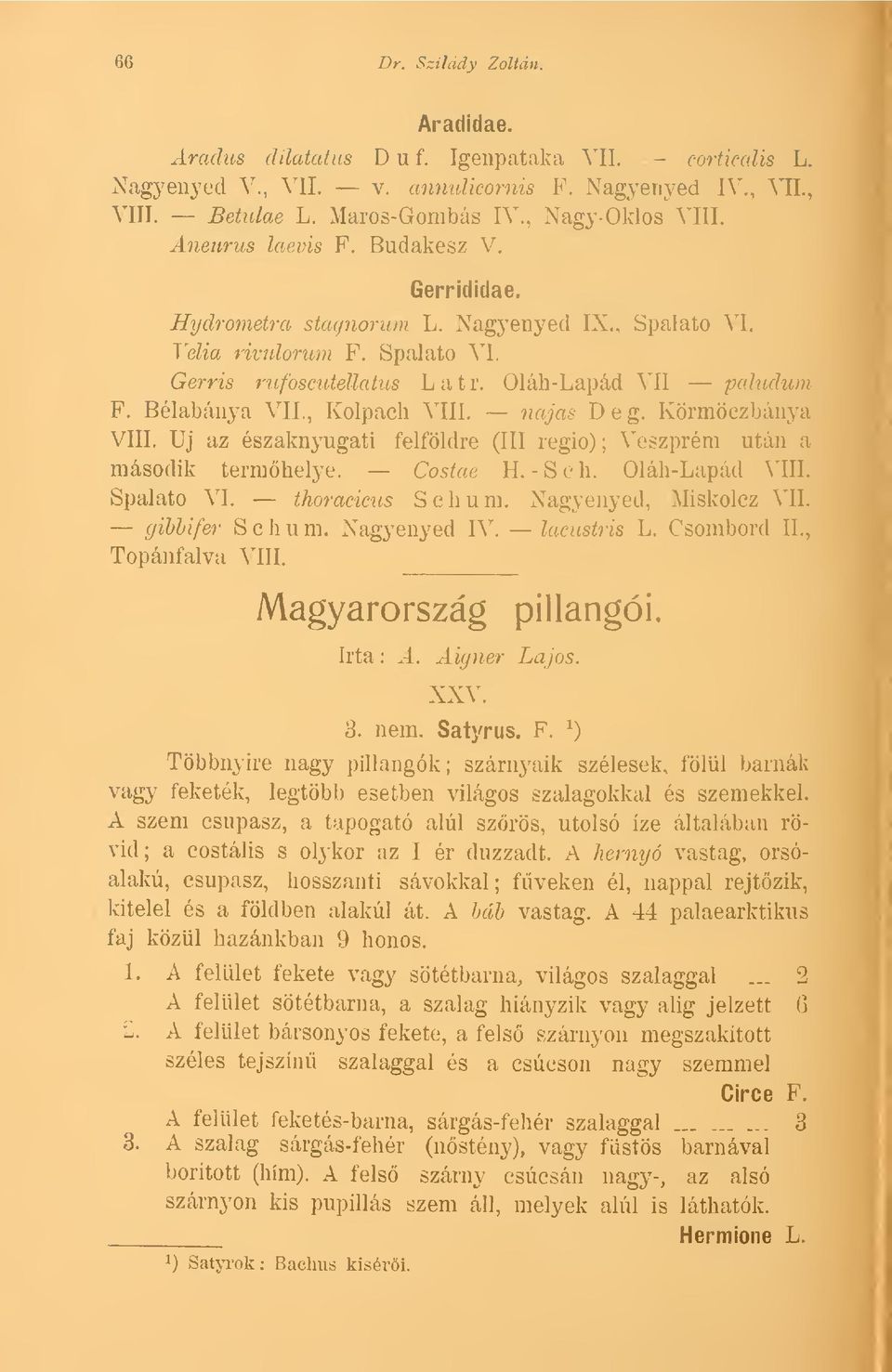 Bélabánya VII,, Kolpach VIII. najas Deg. Körraöczbánya VIII. Uj az északnyugati felföldre (III regio); Veszprém után a második termhelye. Costae H, - S e h. Oláh-Lapád VIII. Spalato VI.