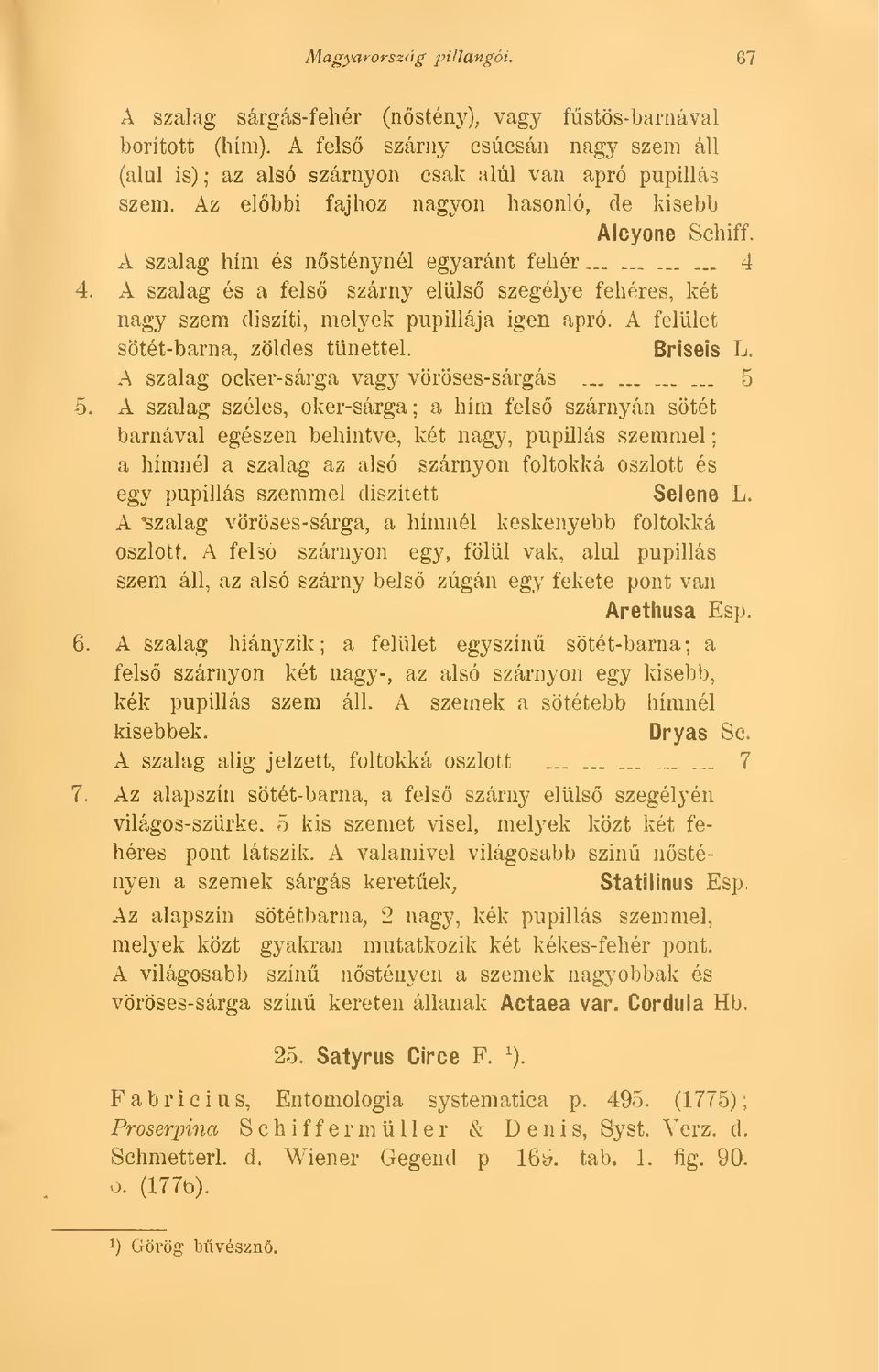 A szalag és a fels szárny elüls szegélye fehéres, két nagy szem díszíti, melyek pupillája igen apró. A felület sötét-barna, zöldes tünettel. Briseis L. A szalag ocker-sárga vagy vöröses-sárgás _.. _.. 5.